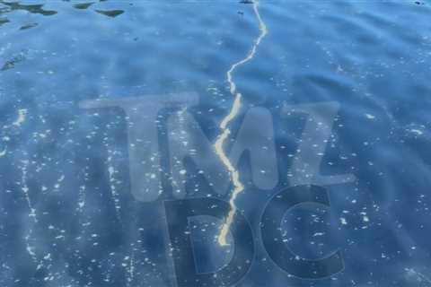Reflecting Pool Back to Blue with Mysterious Jagged Line at the Bottom