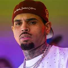 Chris Brown Ordered to Pay $13M Over Dog Attack
