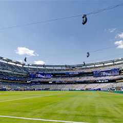 FIFA charging $450 for pieces of field to be used in World Cup final