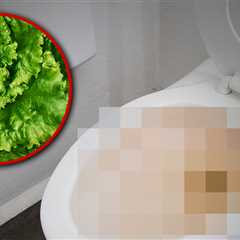 Ohio Woman Says Salad Gave Her 'Violent Diarrhea' Amid Cyclosporiasis Outbreak