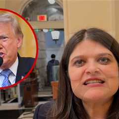 Rep. Haley Stevens Defends 'Stick It to 'Em' Campaign Ad As 'Authentically Michigan'
