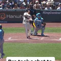 Giants fan left bloody after taking foul ball off dome piece