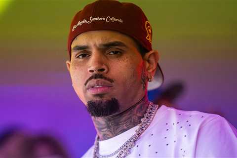 Chris Brown Ordered to Pay $13M Over Dog Attack