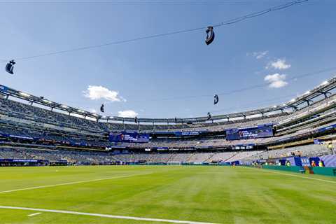 FIFA charging $450 for pieces of field to be used in World Cup final