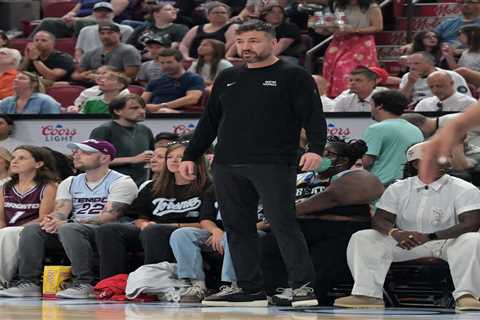 Liberty coach rips ‘pathetic’ WNBA refs after loss, shoe-throwing incident: ‘Making stuff up’
