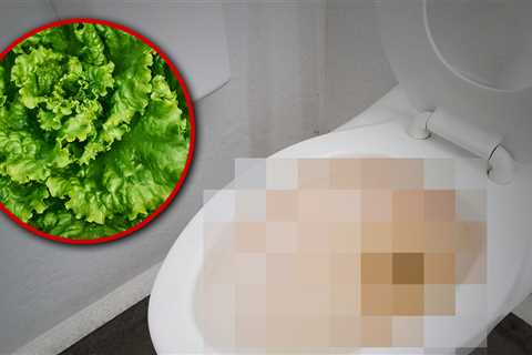 Ohio Woman Says Salad Gave Her 'Violent Diarrhea' Amid Cyclosporiasis Outbreak