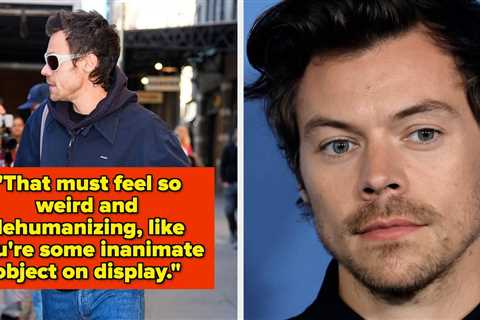 Harry Styles's Heartbreaking Response To A Fan Who Treated Him Like A Zoo Animal Has Sparked..