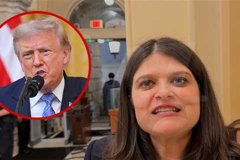 Rep. Haley Stevens Defends 'Stick It to 'Em' Campaign Ad As 'Authentically Michigan'
