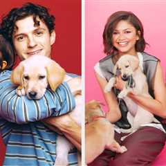 Tom Holland And Zendaya Just Did The Puppy Interview Together — You're Welcome