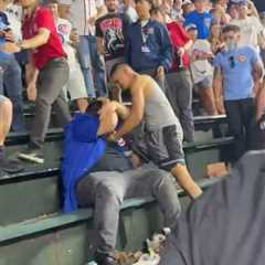 Cubs-White Sox fan fight gets real ugly at Wrigley Field: ‘He’s got to go to jail’