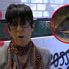 Diane Warren Rescues Viral West Hollywood Pig Wilbur