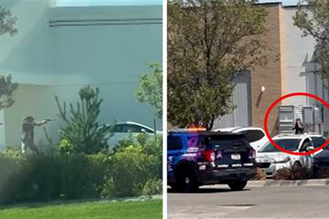 Gun-Wielding Bystander Fired at Idaho In-N-Out Mass Shooter, Video Shows