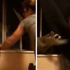 Watch Terrifying Raccoon Bite Attack On Woman Trying to Help Animal