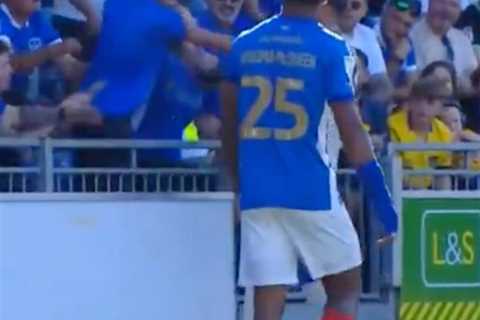 Cardiff City’s Krystian Bielik appears to grab fan by throat in bizarre scene