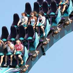 SeaWorld Orlando Shuts Down Mako Coaster After Fatal Six Flags Accident