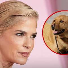 Selma Blair's Service Dog Safe After Her Airplane Meltdown