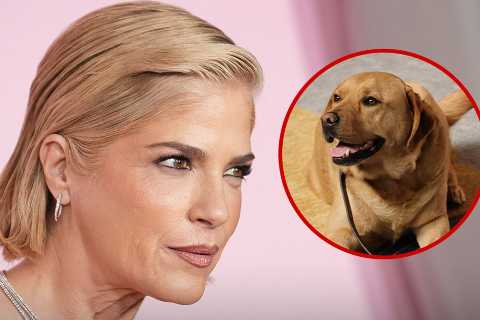 Selma Blair's Service Dog Safe After Her Airplane Meltdown